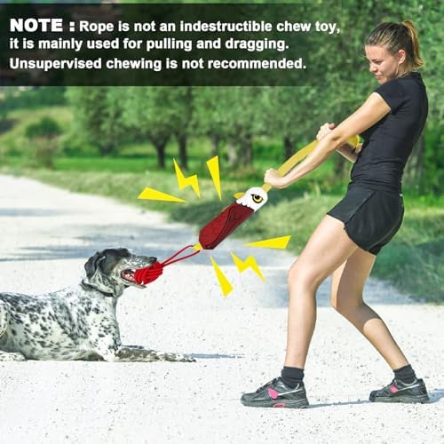 ETIAL Interactive Dog Tug Toy,Indestructible Dog Toys for Aggressive Chewers,Tough Squeaky Dog Rope Toys for Training,Tug of War Dog Toy Balls for Medium & Large Dogs (Eagle)
