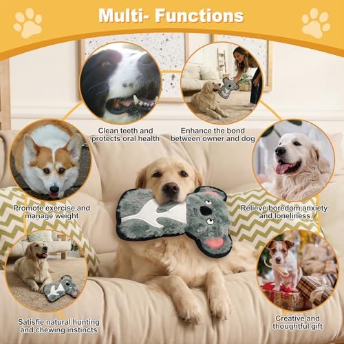 8.86 Inch Grey Green Koala Squeaky Dog Toy with Crinkle Paper, Plush Chew Toy for Puppy Teething, Interactive Fetch Toy for Small Medium Large Dogs