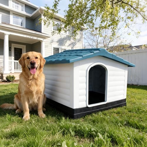 2-Door Small Dog House with Fold-Out Porch and Elevated Base, Blue