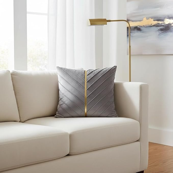 Velvet Throw Pillow Covers 20x20 inch Pack of 2 Gold Decor Gray | Soft Solid Pillow Covers,Modern Luxury Home Decor,for Couch Chair Sofa Bedroom Livingroom,Hidden Zipper,Ideal Gift,Easy Care