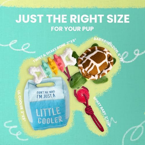 Snugarooz Toy Box Takeover for Small Breeds – Spikey Baby, Twist & Shake Nylon Bone, Baby Shelldon & Lil Cooler – Mixed Texture Playset for Chewing, Cuddling & Fun