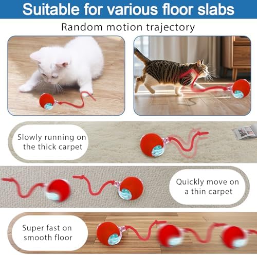 Interactive cat Toys for Indoor Cats, Speedy Tail 3.0 Cat Toy, Motion Activate cat Toy Ball，Automatic Toys for Bored Indoor Cats, Speedy Tail 2.0 Cat Toy, Rechargeabl