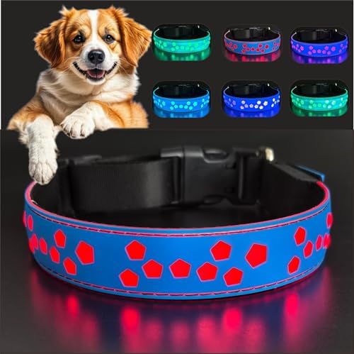 Personalized Light up Black Dog Collar with airtag Holder for Night Walk (Blue Collar 15 Modes Lighting, M(11.8-15.7"))