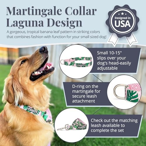Lucky Love Dog Martingale Collar for Small Dogs No Slip – Laguna, Small
