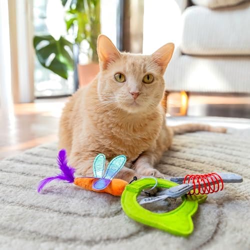 Quirky Kitty Kitty Connects Interactive Cat Toy With Felt Rings And Catnip Dragonfly