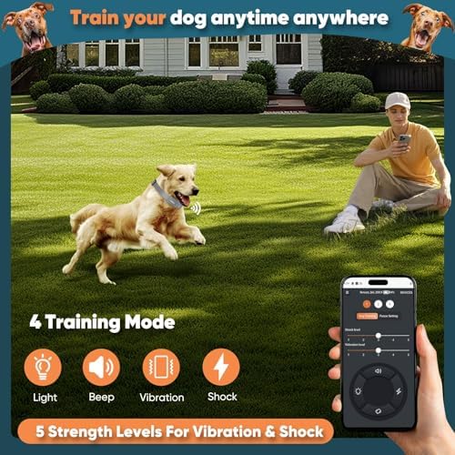 GPS Wireless Dog Fence, Electric Fence System with Training Collar