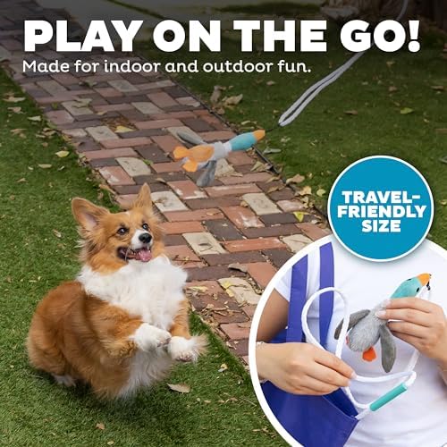 Outward Hound Tail Teaser Wand Dog Toy with Squeaky Plush, 17.4"
