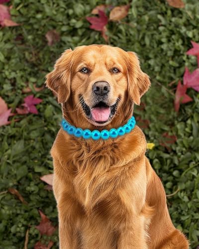 Chunky Pearl Dog Necklace (Beads 20mm),Elegant Classic Super Big Pearl Collar Necklace Accessories for Medium Large Dogs Occasions and Gatherings (Turquoise, 2XL(Neck Girth 19''-21.5''))