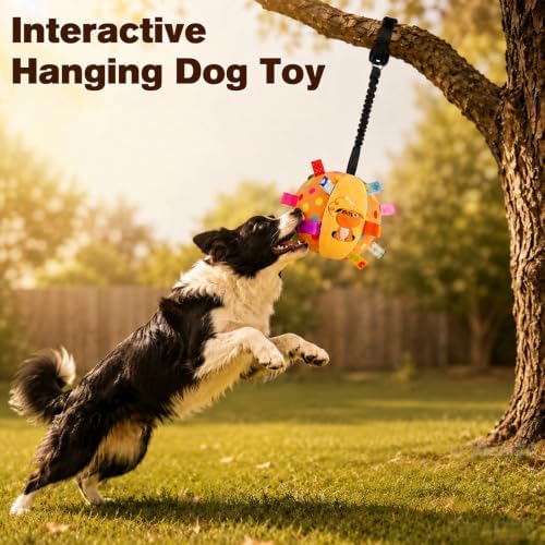 Colorful Squeaky Play Ball,Colorful Squeaky Hanging Dog Training Toy with 60 inch Elastic Ropes Soft with Bell 6-inch Soft Puppy Ball for Small Dogs & Puppies Indoor & Outdoor (Dog-A)