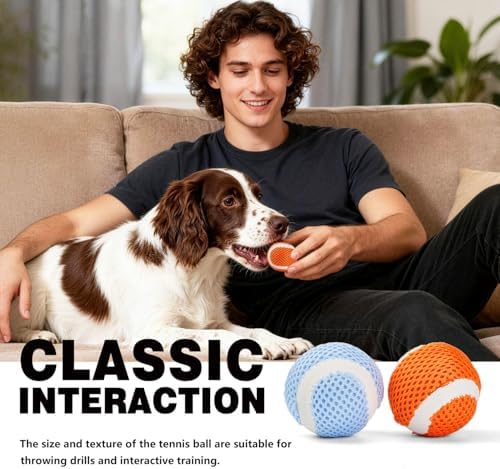 MECOOL Tennis Balls for Dogs 2.0in 20PCS Fetch Interactive Dog Balls Durable Toys for Cleaning Teeth Indoor/Outdoor Playing for Small and Middle Dogs(Blue and Orange)