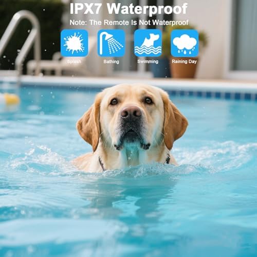 Aikko Dog Shock Collar with Remote - IPX7 Waterproof, 3 Training Modes (Beep, Vibration, Shock), Rechargeable E-Collar for Most Breeds, Anti-Bark & Adjustable Humanitarian Training Collar for 2 Dog