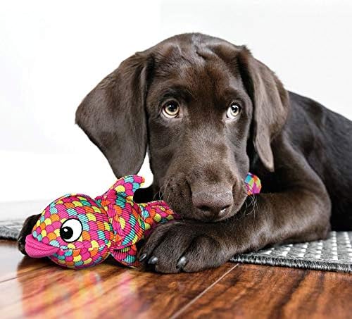 KONG Wubba Finz - Dog Toy for Tug of War & Fetch - Dog Supplies for Puppy & Dog Playtime - Outdoor & Indoor Dog Toy (Blue, Small)
