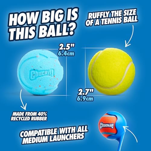 Chuckit! Rebounce Ball Dog Toy, Medium 2.5 Inch, for Dogs 20-60 lbs, Blue