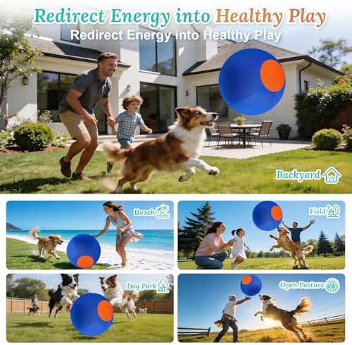 Herding Ball for Dogs Large for Australian Shepherd, Blue-Orange, M
