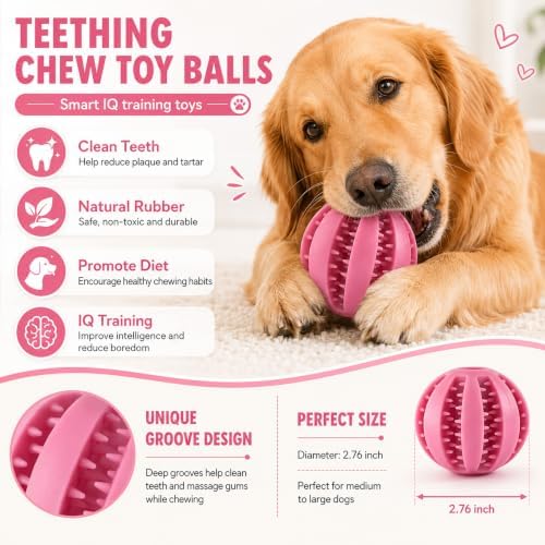 GASHIK Dog Treat Ball for Dogs, Rubber Dental Chew Toy for Dogs