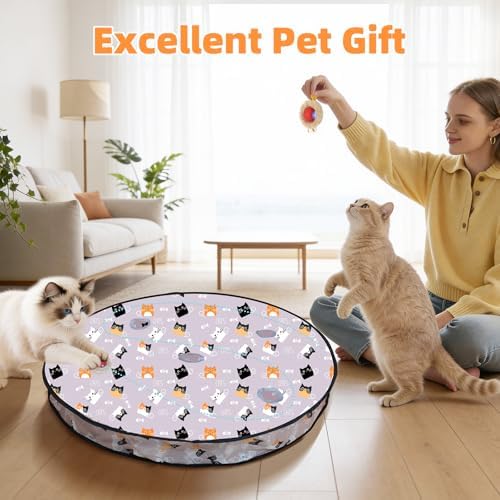 Interactive Cat Toy for Indoor Cats-Hide and Seek Cat Toy with 5-Holes Mat,Automatic Cat Toy Ball with Mouse Squeak in Pouch,Rechargeable Kitten Toy,Motion Activated Ball