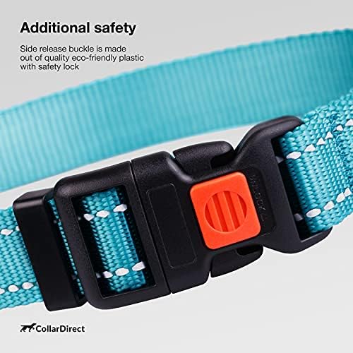 Reflective Dog Collar, Quick-Release Buckle (Mint Green, 12-16 Inch)