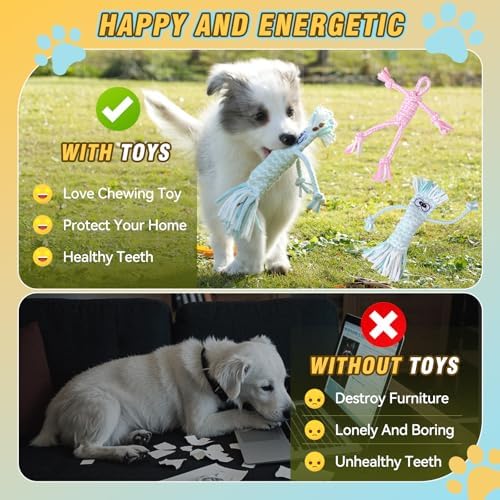 Dog Rope Toys for Small-Medium Dogs. 18 Pack for Teeth Cleaning, Chewing, Training Balls and Squeaky Toys. Best for Entertainment, Interaction,Tug of War Indoor and Outdoor.