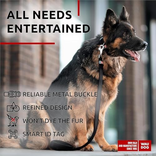 WAUDOG Genuine Leather Dog Collar Adjustable Large Medium Small QR Code Tag