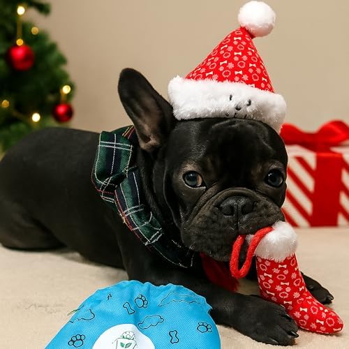 Christmas Santa Hat Plush Dog Toy (L Size), Soft & Durable Squeaky with Treat Pocket, Wear & Play Design, Crinkle Paper Sound, Fun for Medium & Large Dogs