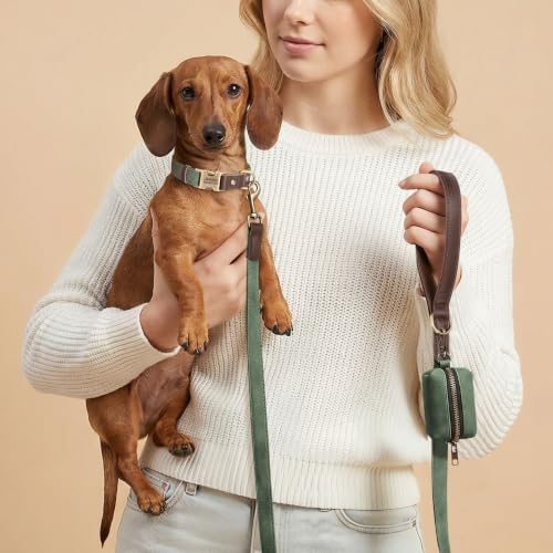 Personalized PU Leather Dog Collars,Quick Release Buckle,Green,S