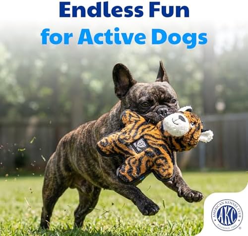 American Kennel Club Plush Dog Toy with Squeaker for Moderate Chewers, Soft Stuffed Dog Toy for Tugging, Fetch & Interactive Play, Gentle on Teeth