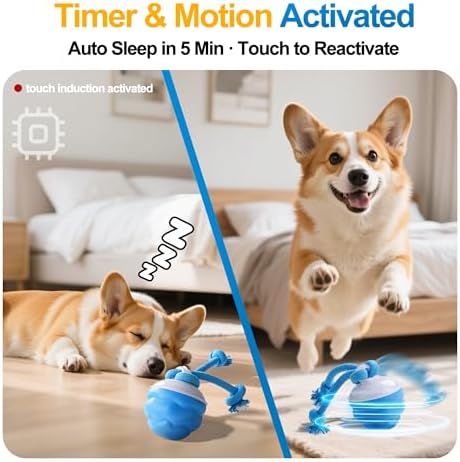 Interactive Dog Ball, Blue USB-C Rechargeable Rolling Toy