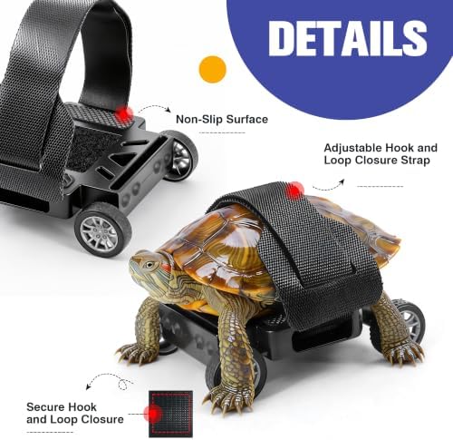 Turtle Skateboard Small Reptile Exercise Toy S