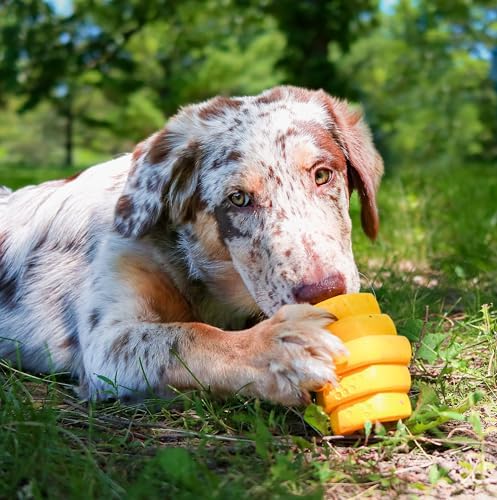 Hive Chew Toy for M/L Dogs – Yellow/Unscented – Chew, Fetch, & Treat-Dispensing Enrichment Toy, Floats, Made in USA, Pairs with Hive Chew Sticks for M/L Dogs for Longer-Lasting Play