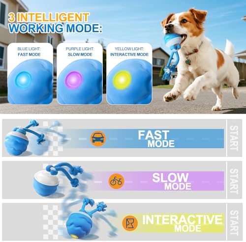 Interactive Dog Ball, Blue USB-C Rechargeable Rolling Toy