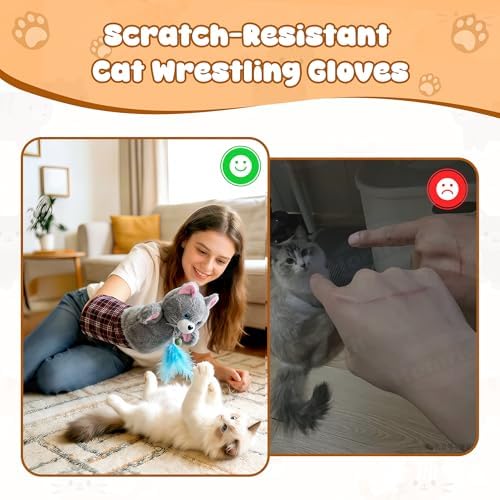 Interactive Cat Wrestling Glove with Catnip & Feather, Hand Puppet Toy
