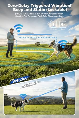 Teendow Wireless Dog Fence with Remote, Dog Training Collar IPX7 Waterproof, Wireless Dog Fence System with HD Display, Electric Perimeter Collar, Tool-Free, Rechargeable, Pet Training & Bark Control