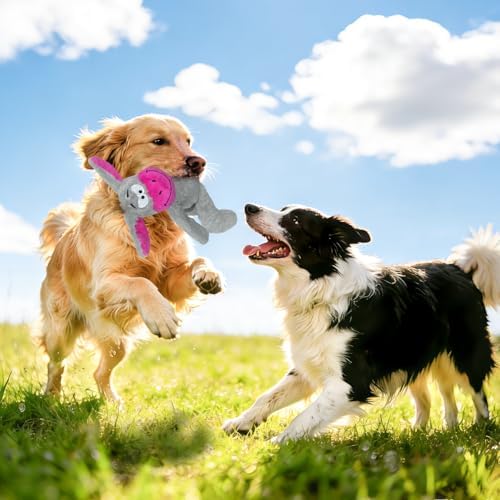 Squeaky Plush Dog Toy for Small & Medium Breeds