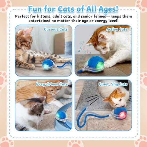 Interactive Cat Toys for Indoor Cats - Rechargeable Fast Rolling Ball
