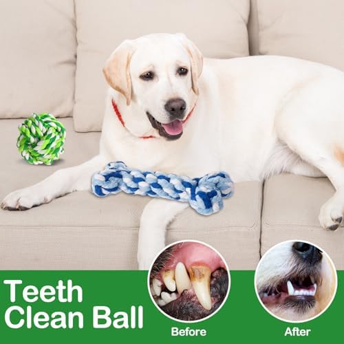 18 Pcs Dog Rope Toys Set Interactive Chew Balls Toys for Aggressive Chewers Large Medium Small Dogs Pet Puppy Teeth Cleaning Fun Training Birthday Gifts Blue Green