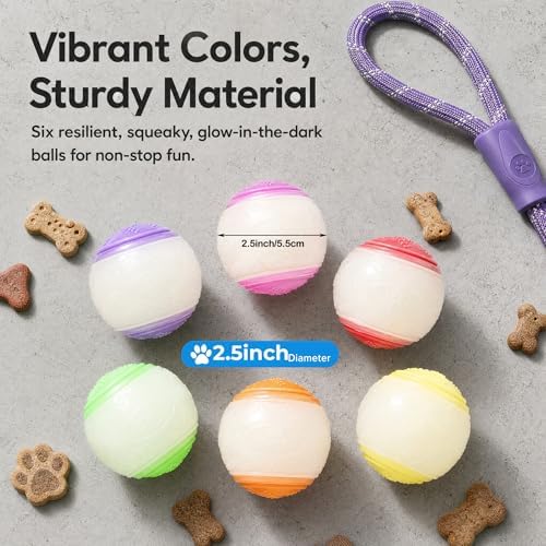 6Pcs Rubber Dog Balls, 2.5 Inch for All Breeds Dogs