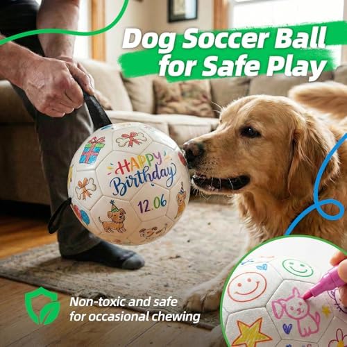 HETOO Paint Your Own Soccer Ball, Art Craft DIY Kit for Dog Party Birthday