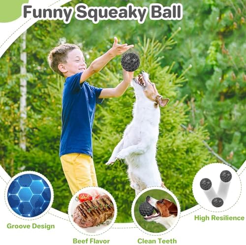 DISSKNIC Indestructible Squeaky Dog Balls Puppy Toys, Interactive Dog Toys for Small Dogs, Puppy Chew Toys for Teething and Relax, Dogs Chew Toy Balls Small Toys for Small Breed