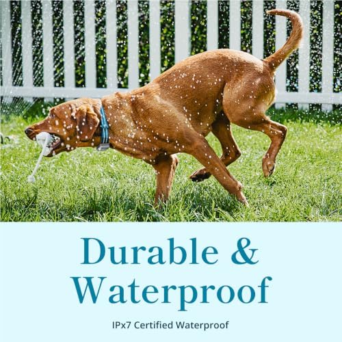 petivity Dog GPS Tracker Powered by Purina, Waterproof Real Time Tracking GPS Dog Collar, Downloadable App, Subscription Required