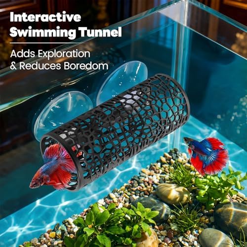 Betta Fish Toys, 1 Betta Fish Tunnel Hammock, 1 Fish Mirror with Floating Ball & 2 Exercise Training Ring Toys, Betta Fish Tank Accessories
