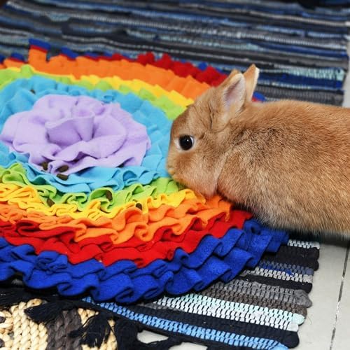 Dog Snuffle Mat Interactive Round Shape Sniff Feeding Food Mats Pet Foraging Treat Dispenser Toy Slow Feeder for Dogs Rabbits (Rainbow)