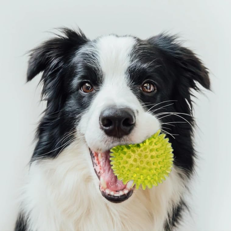 Cutie's PetBox Squeaky Rubber Spike Toy Ball for Medium, Large Dogs (3.5 Inch, Yellow)