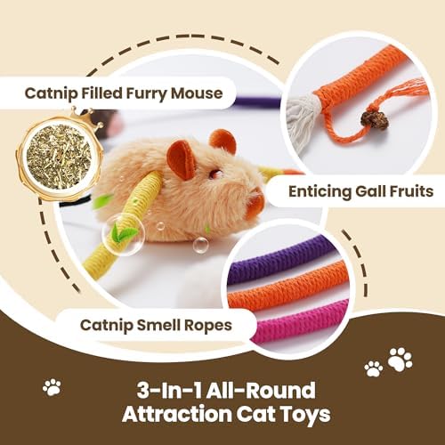 Cat Chew Ropes with Catnip Mouse, 3Pcs Cat Chew Toys for Large Cats Enrichment, 3-in-1 Catnip Toys Mouse & Strong Braided Ropes & Gall Fruits, Cats Teething Toys