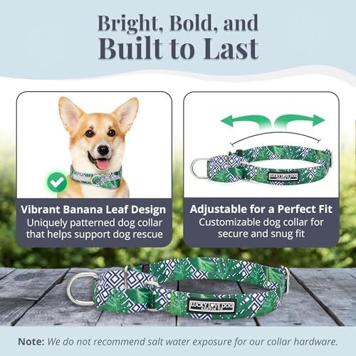 Lucky Love Dog Martingale Collar for Small Dogs Cute – Blue Laguna, Small