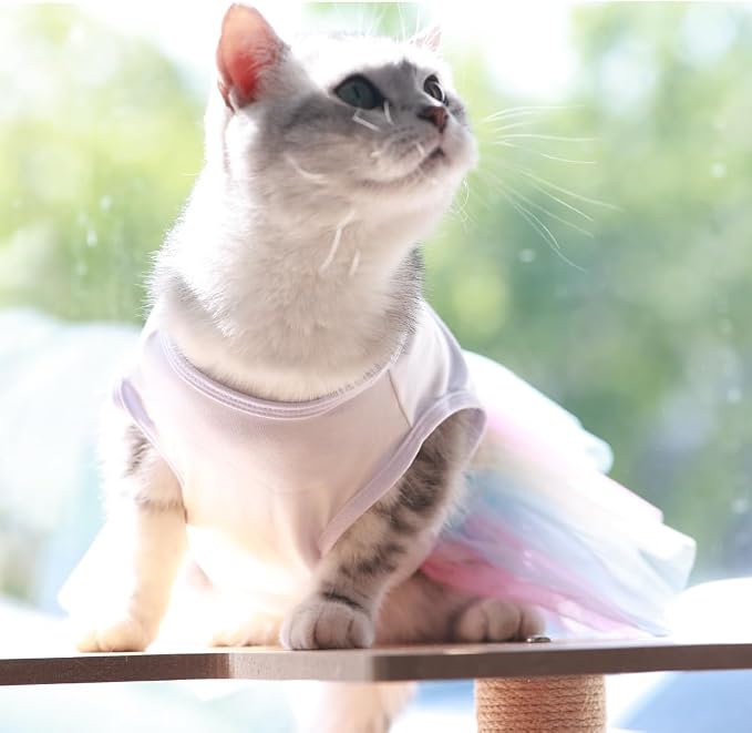 ANIAC White Dog Dress,Summer Dog Clothes for Small Dog Girl, Spring Puppy Princess Dress, Cat Outfit,Pet Clothing for Cats Kitten Chihuahua Yorkie,Rainbow (Small, White)