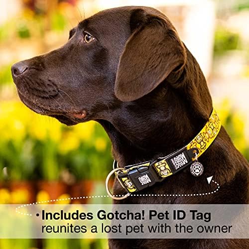 Max & Molly Urban Pets Smart ID Dog Collar with Gotcha! QR Pet Safety Tag and Custom Pet Profile, Soft Padded Neoprene, Waterproof, Machine Washable, Monkey Maniac, M (13-21")