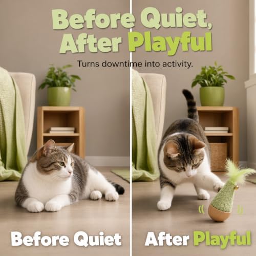 2-Pack Interactive Self-Righting Wobble Cat Toy with Feather (Set)