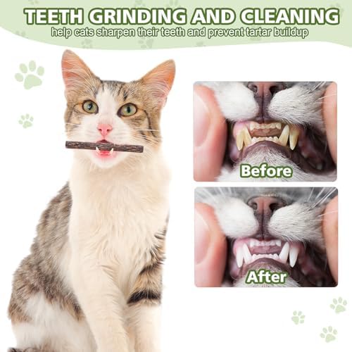 WOUSEDO 6 Pack Silvervine Sticks for Cat, Natural Catnip Toys