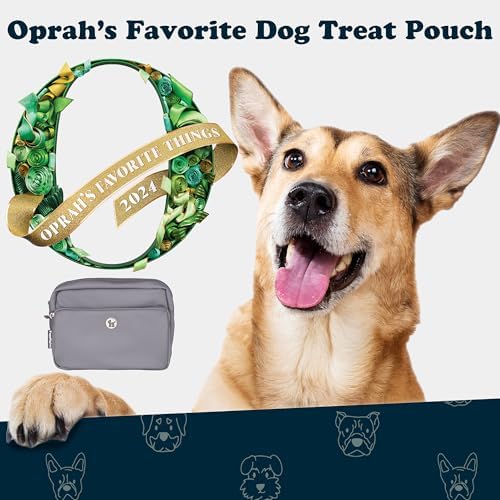 Puppington 3-in-1 Crossbody & Dog Treat Pouch for Pet Training - Matching Compostable Poop Bags, Built-In Poop Bag Dispenser & Slow-Feeding Travel Dog Bowl - Dog Walking Bag (Charcoal Gray)