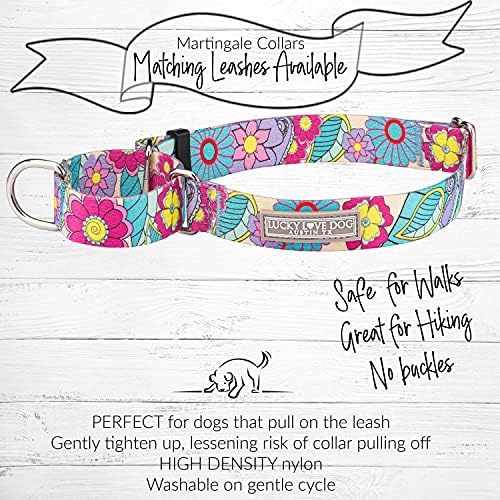 Lucky Love Dog Martingale Collar & Leash Set No Slip – Caroline, Medium